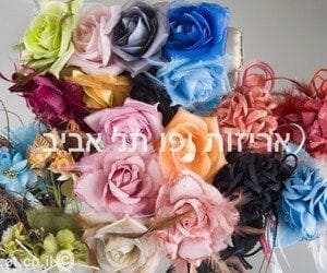 products-IMG_8678-copy תצוגה מרהיבה של פרחי בד גדולים בצבעים ורוד, כחול, אפרסק, סגול, צהוב ואדום עם טקסט בעברית. חלק מהפרחים מעוטרים באלמנטים דמויי נוצות – אידיאלי כקישוט צבעוני לבית.