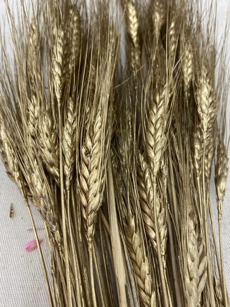 0BDABBC9-3A86-476F-AF17-A7840B4F6EC1-scaled תמונה של הפרחים המיובשים והמוצרים הטבעיים שלנו