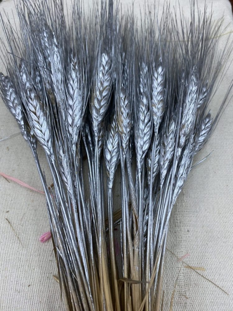 0D6A7DA8-EAA8-4AD3-B1A4-9DEBA644FE8B-scaled תמונה של הפרחים המיובשים והמוצרים הטבעיים שלנו