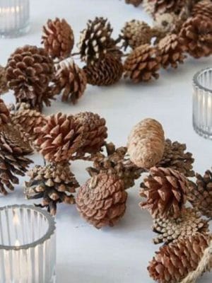 208ECC40-8C3B-4D27-8169-E9444DC7EEAF תמונה של הפרחים המיובשים והמוצרים הטבעיים שלנו