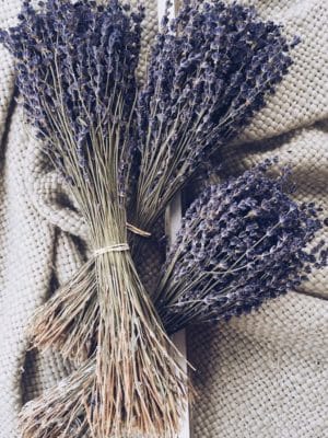 6B1FFF4B-7D22-45DE-8472-0F38D1329EA3 תמונה של הפרחים המיובשים והמוצרים הטבעיים שלנו