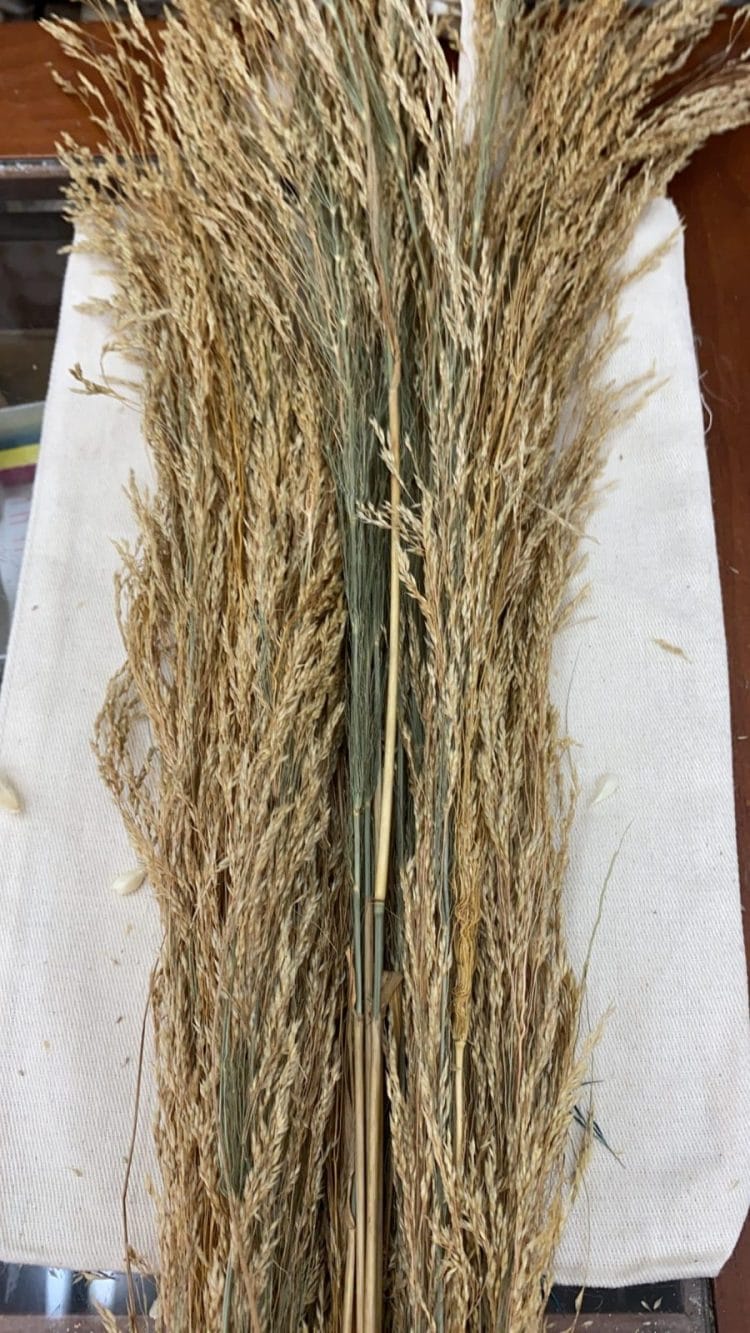 6B9DD513-CC6B-483C-9755-2D645DDDBA5F-scaled תמונה של הפרחים המיובשים והמוצרים הטבעיים שלנו