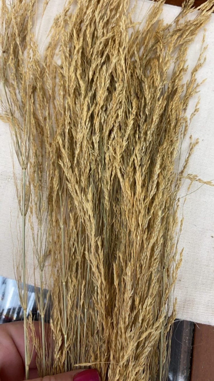 7FD1EA95-F831-40B2-A979-B38A5A0DB7A6-scaled תמונה של הפרחים המיובשים והמוצרים הטבעיים שלנו