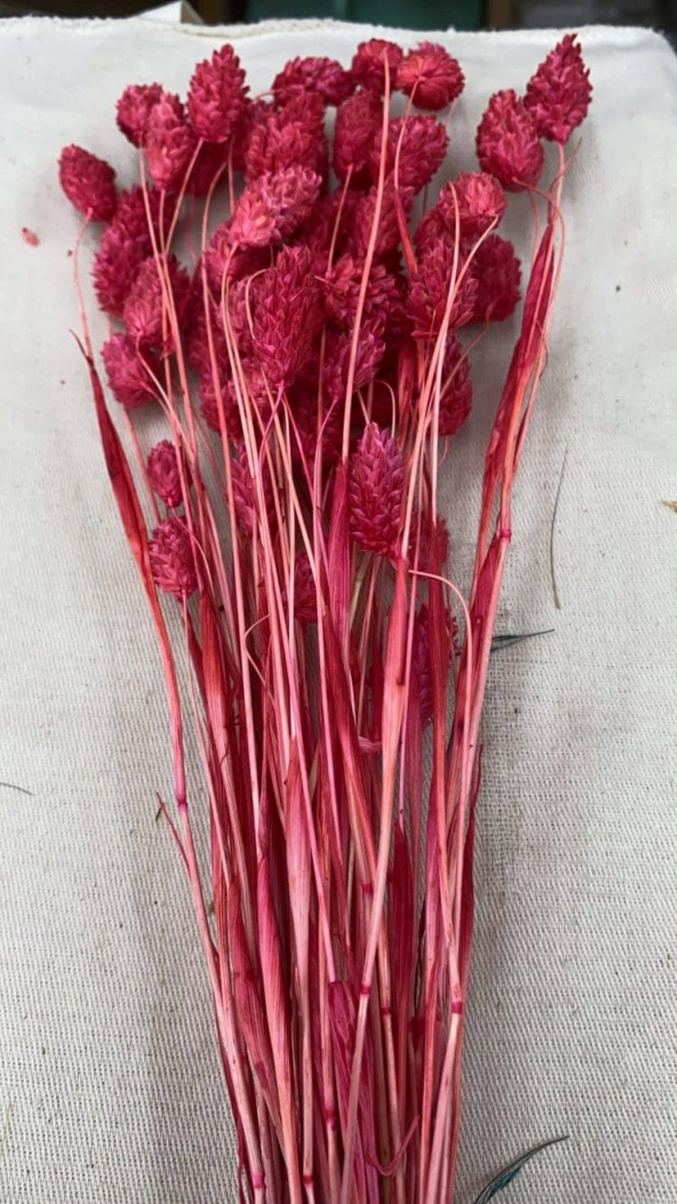 A14E2258-F45A-425F-8AE6-561E98D2BDF2-scaled תמונה של הפרחים המיובשים והמוצרים הטבעיים שלנו