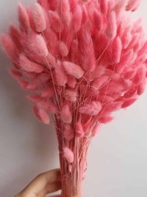 DA83A72C-6664-4318-9D87-17FA066D6E15 תמונה של הפרחים המיובשים והמוצרים הטבעיים שלנו